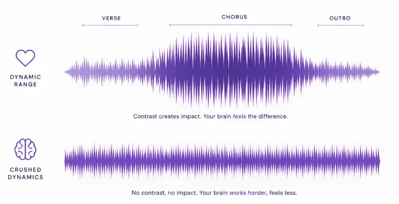 Why Dynamic Range Makes Music Sound Alive 